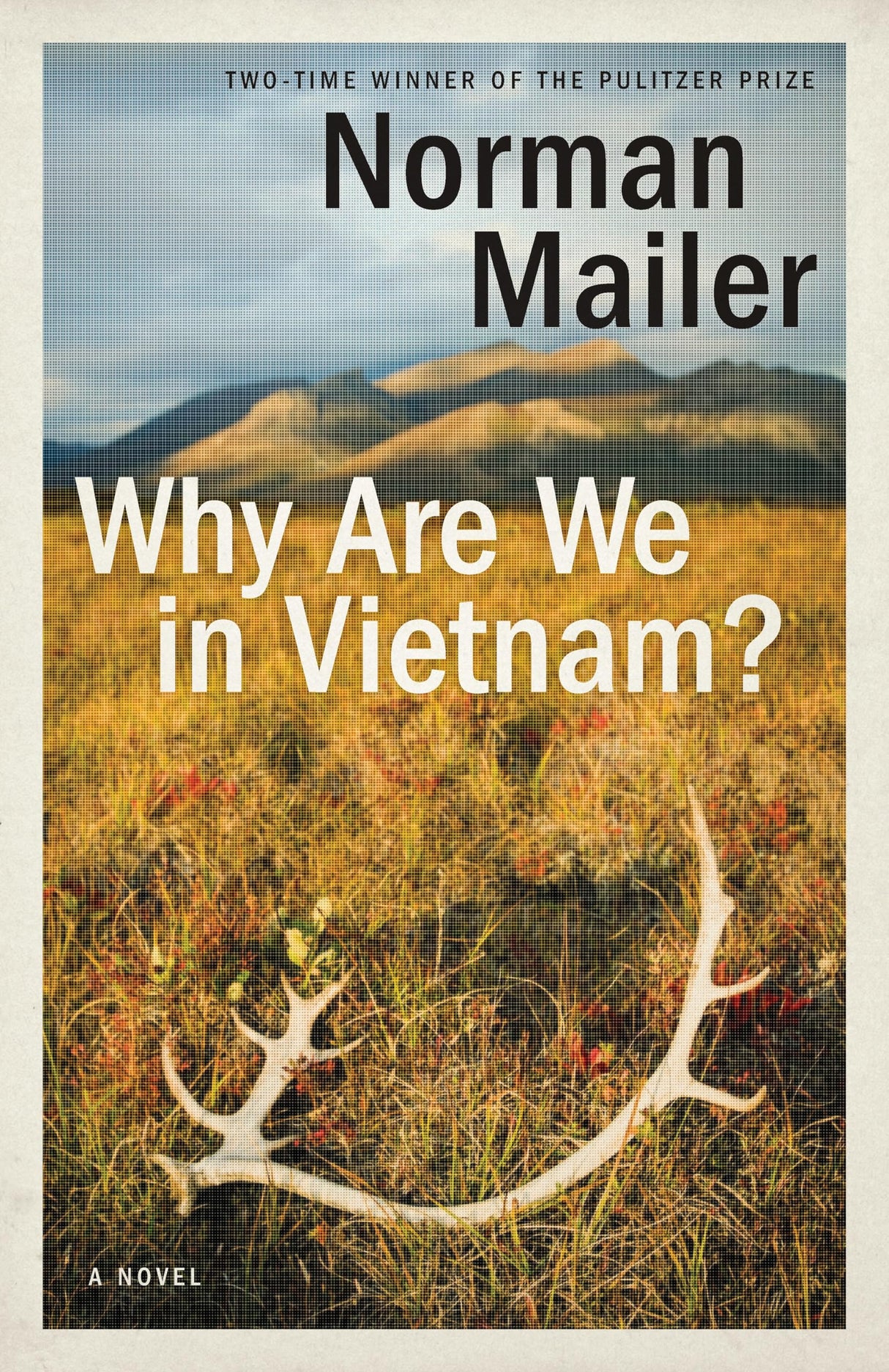 Why Are We in Vietnam?: A Novel - Retail Maharaj