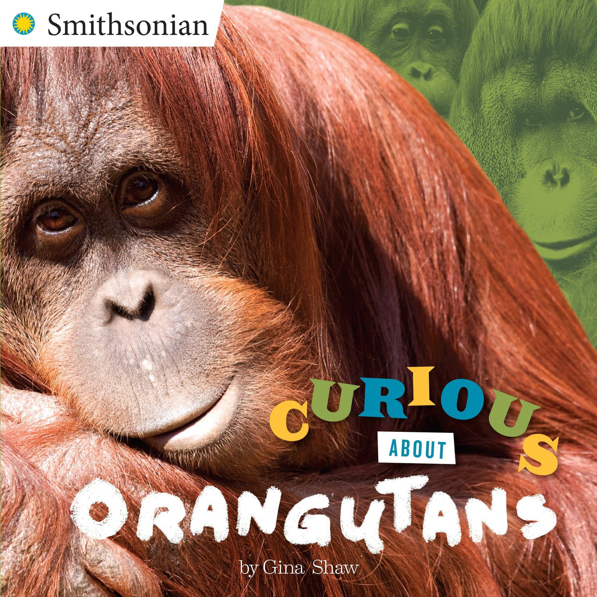 Curious about Orangutans (Smithsonian) - Retail Maharaj