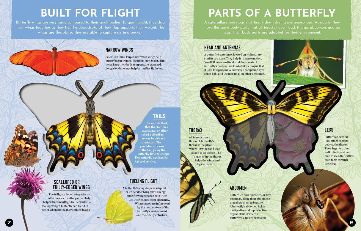 Inside Out Butterfly: Discover Nature'S Most Amazing Transfo - Retail Maharaj
