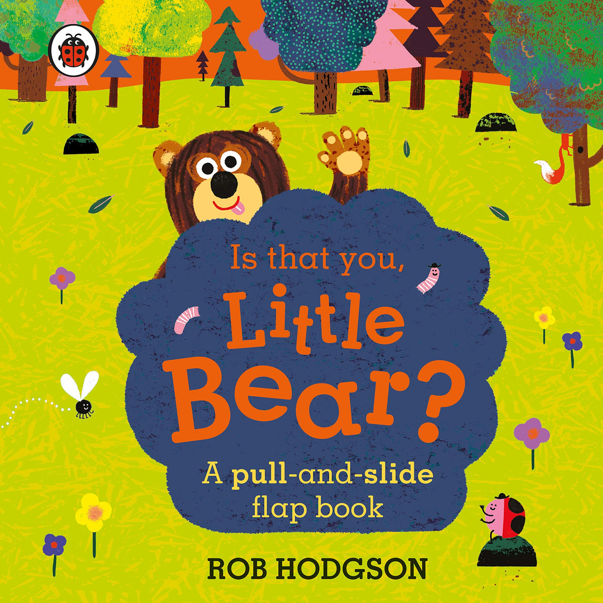 Is that you, Little Bear?: A pull-and-slide flap book - Retail Maharaj
