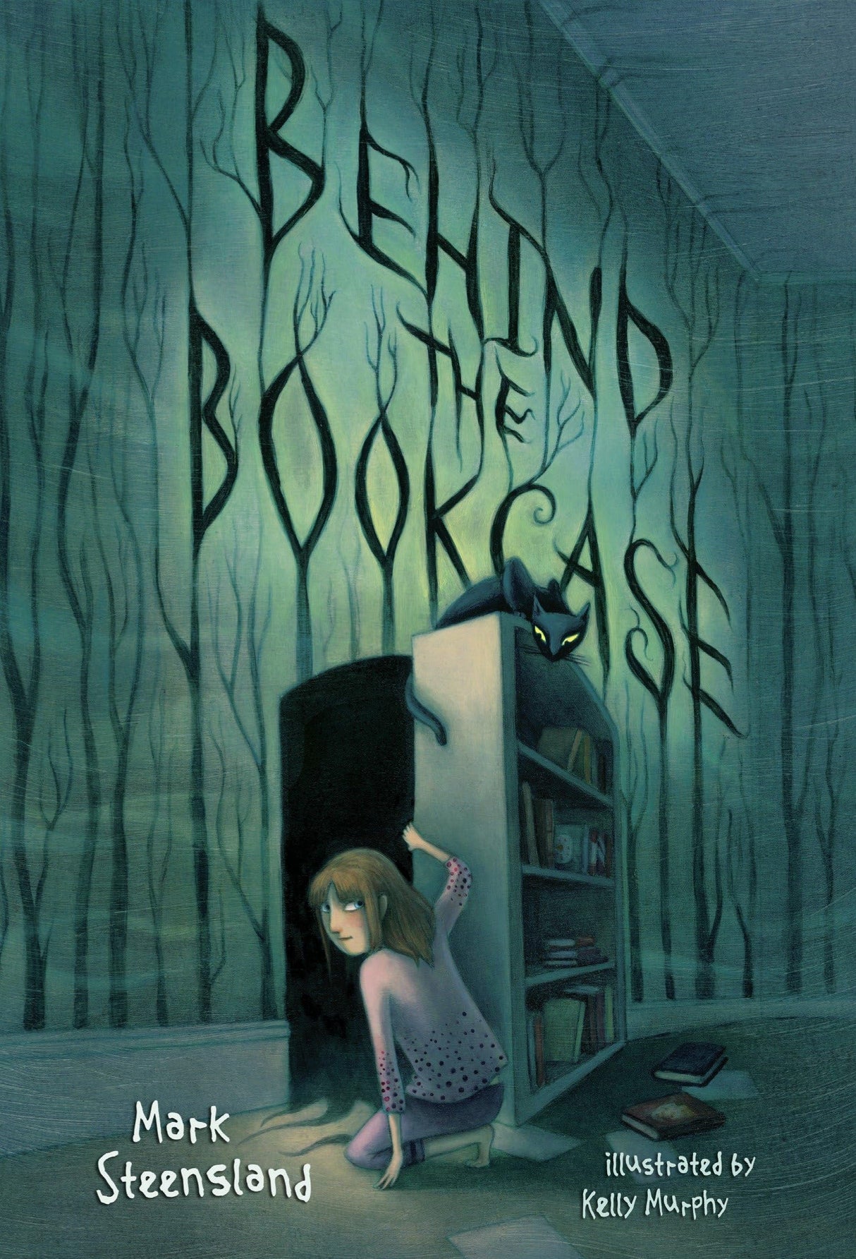 Behind the Bookcase - Retail Maharaj