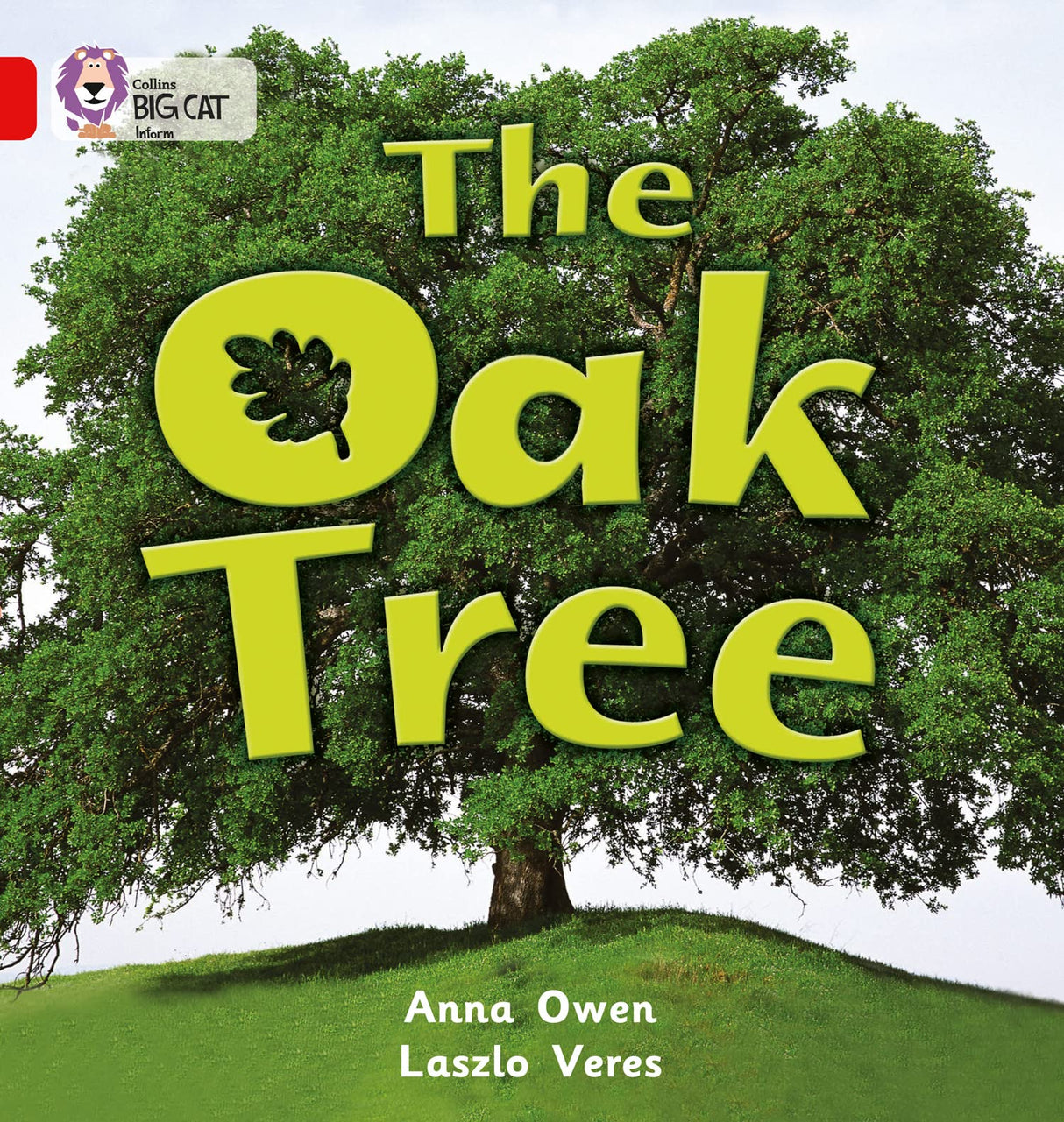The Oak Tree: Band 02b/Red B (Collins Big Cat) - Retail Maharaj
