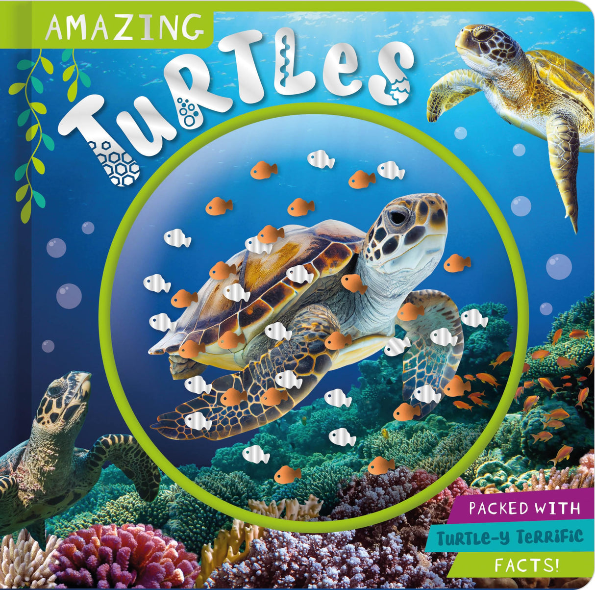 Amazing Turtles - Retail Maharaj