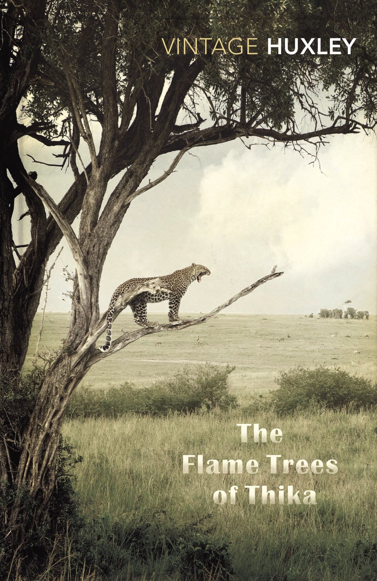 The Flame Trees Of Thika: Memories of an African Childhood - Retail Maharaj