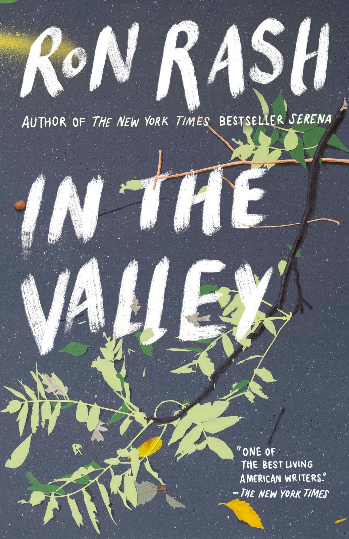 In the Valley: Stories and a Novella Based on SERENA - Retail Maharaj