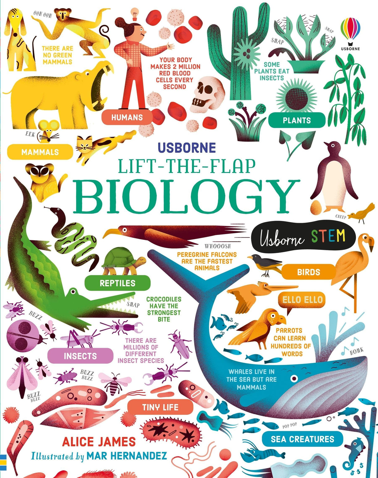 Lift-the-Flap Biology - Retail Maharaj