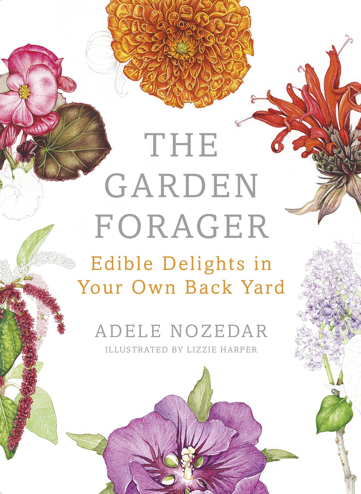 The Garden Forager: Edible Delights in your Own Back Yard - Retail Maharaj