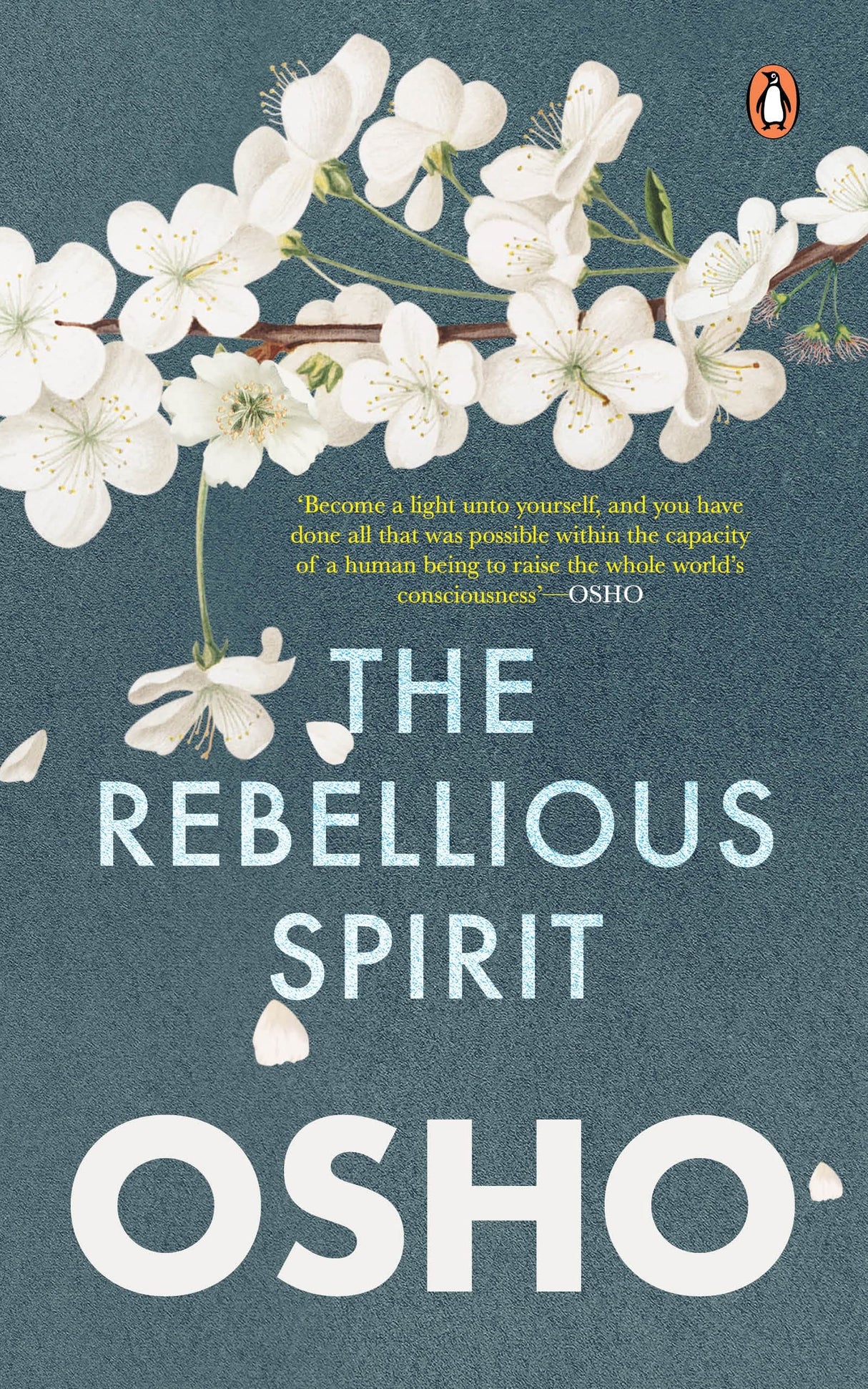 The Rebellious Spirit - Retail Maharaj