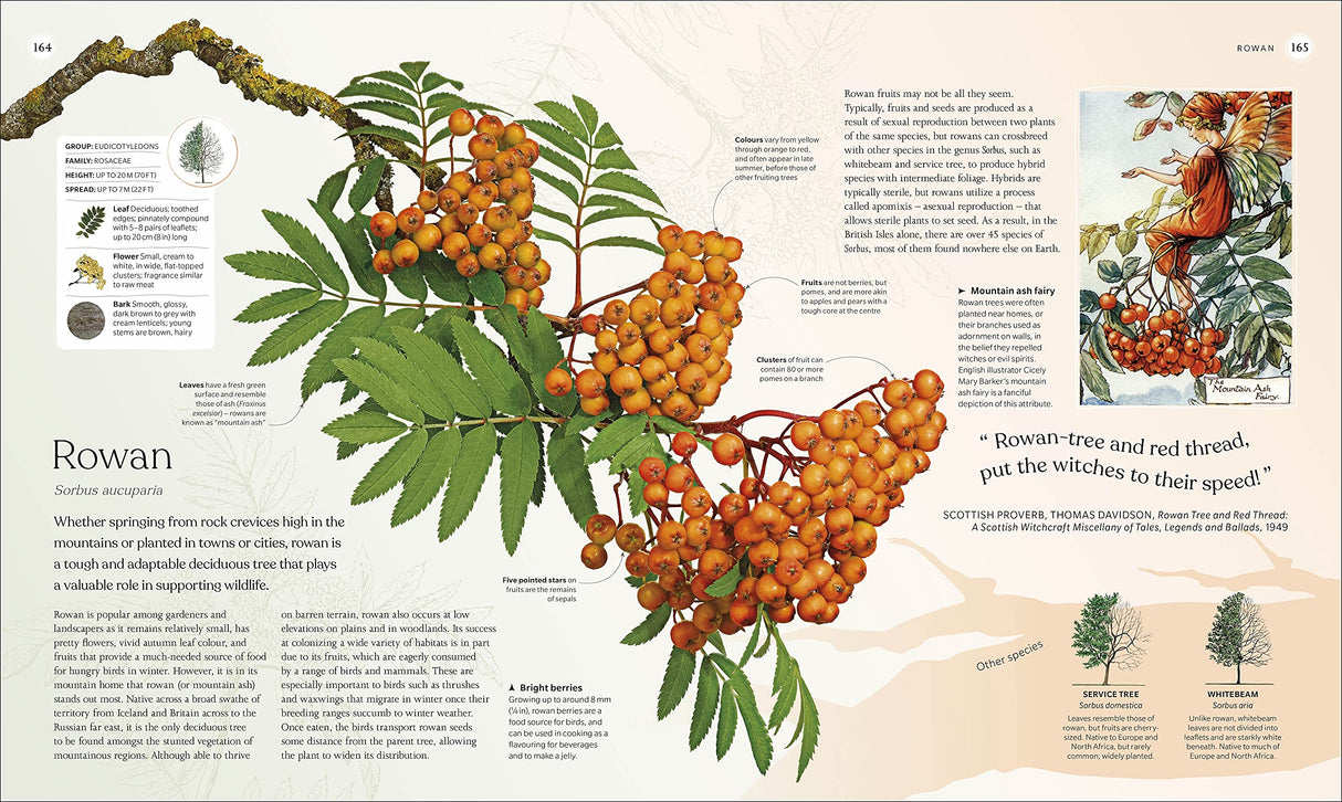 The Tree Book: The Stories, Science, and History of Trees - Retail Maharaj
