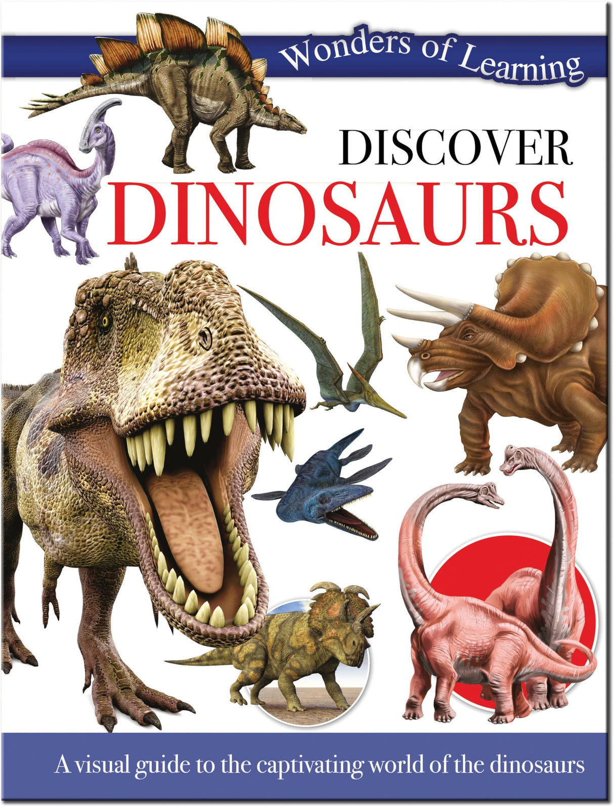 DINOSAURS - Retail Maharaj