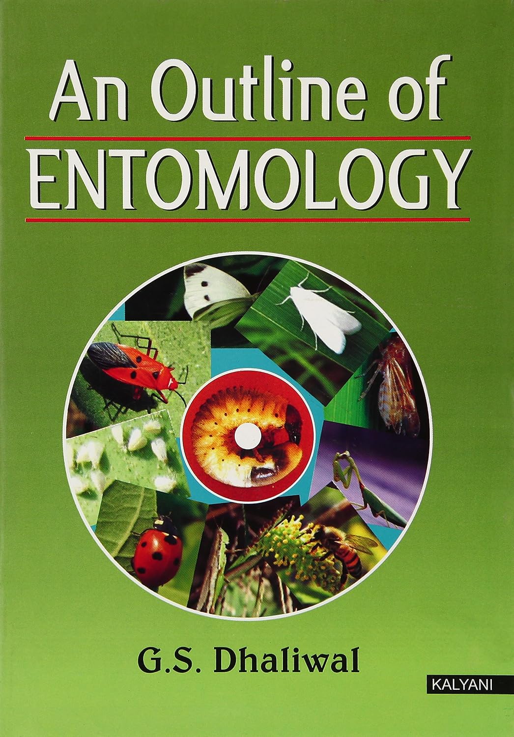 An Outline of Entomology