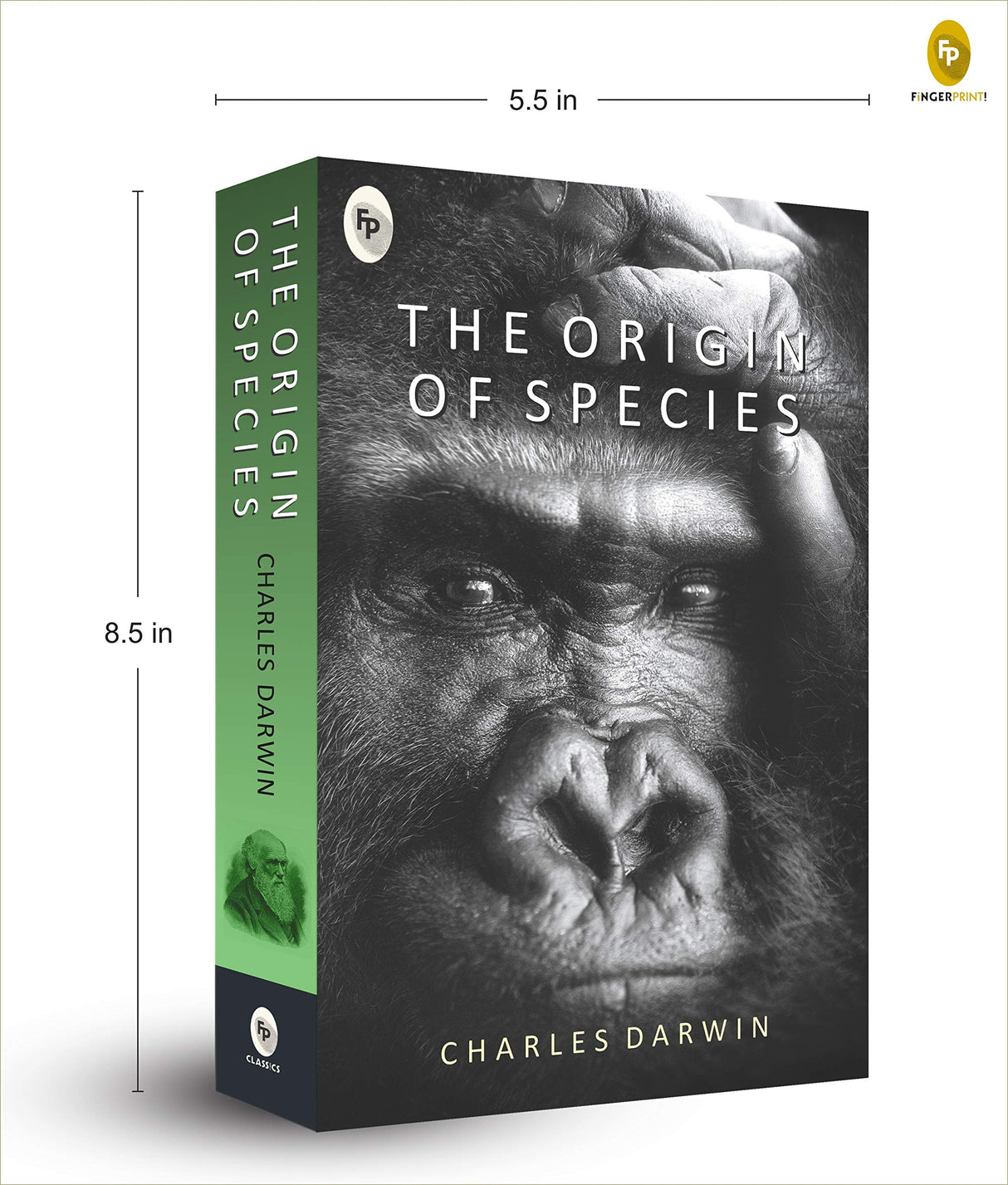 The Origin of Species - Retail Maharaj