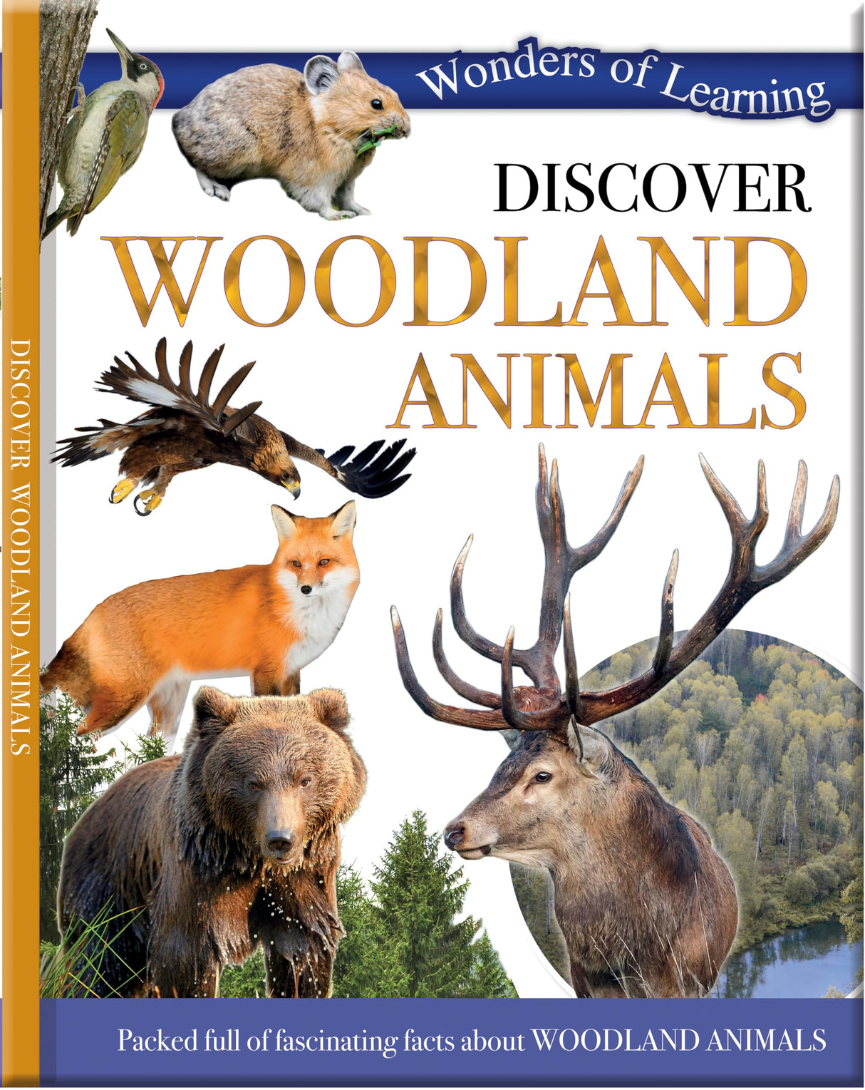WOODLAND ANIMALS - Retail Maharaj