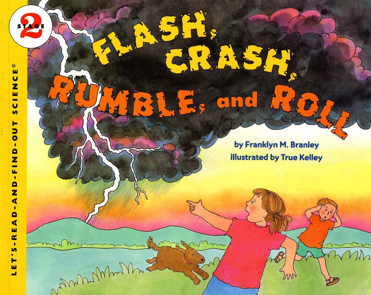 Flash, Crash, Rumble, and Roll - Retail Maharaj