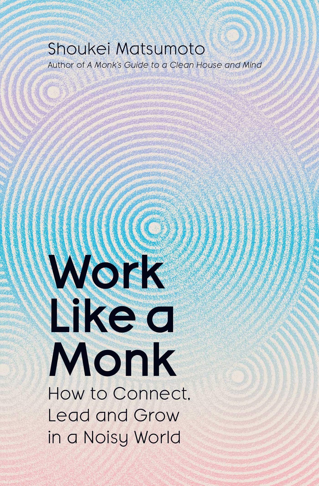 Work Like A Monk: How to Connect, Lead and Grow in a Noisy World - Retail Maharaj
