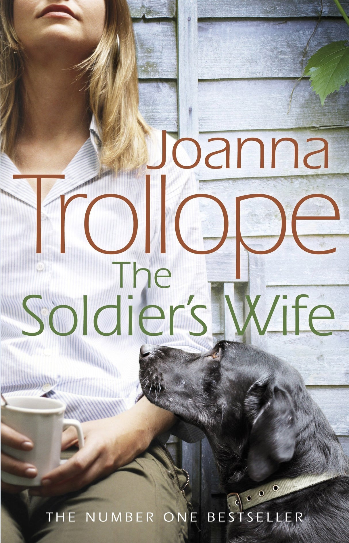 The Soldier's Wife - Retail Maharaj