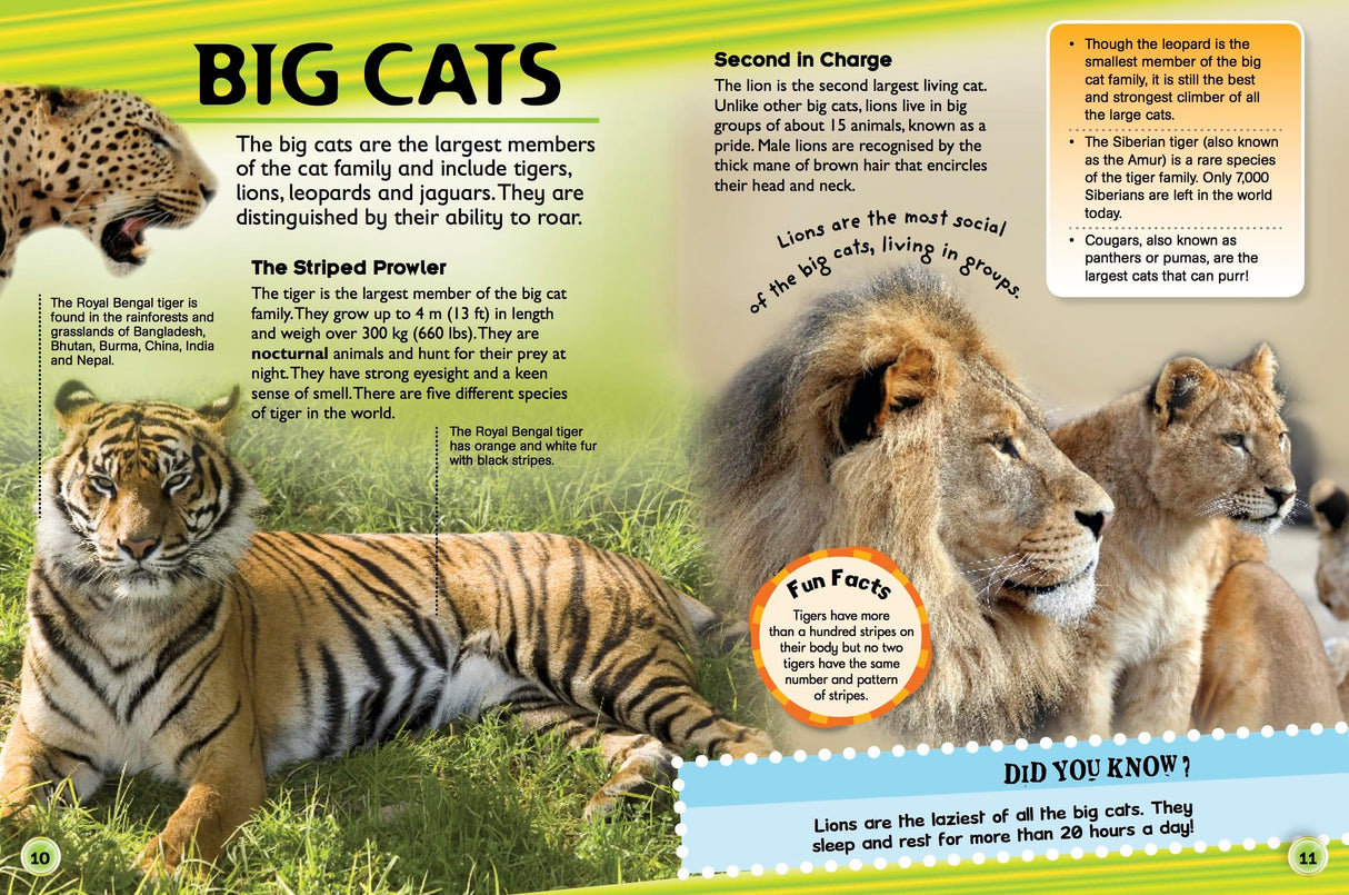 ANIMAL ENCYCLOPEDIA - Retail Maharaj