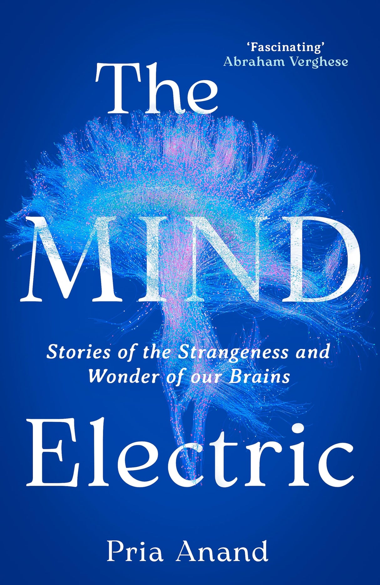 The Mind Electric - Retail Maharaj