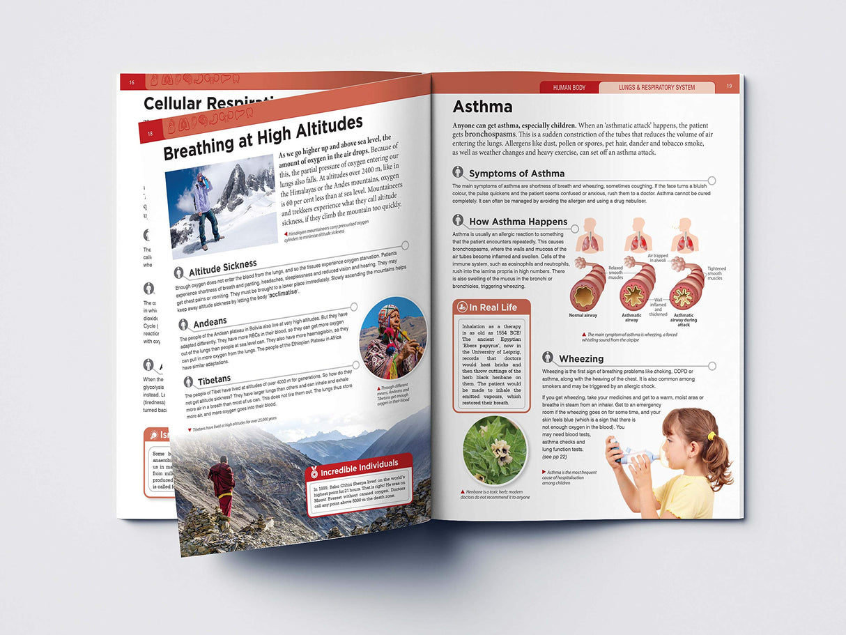 Human Body - Lungs And Respiratory System: Knowledge Encyclopedia For Children - Retail Maharaj