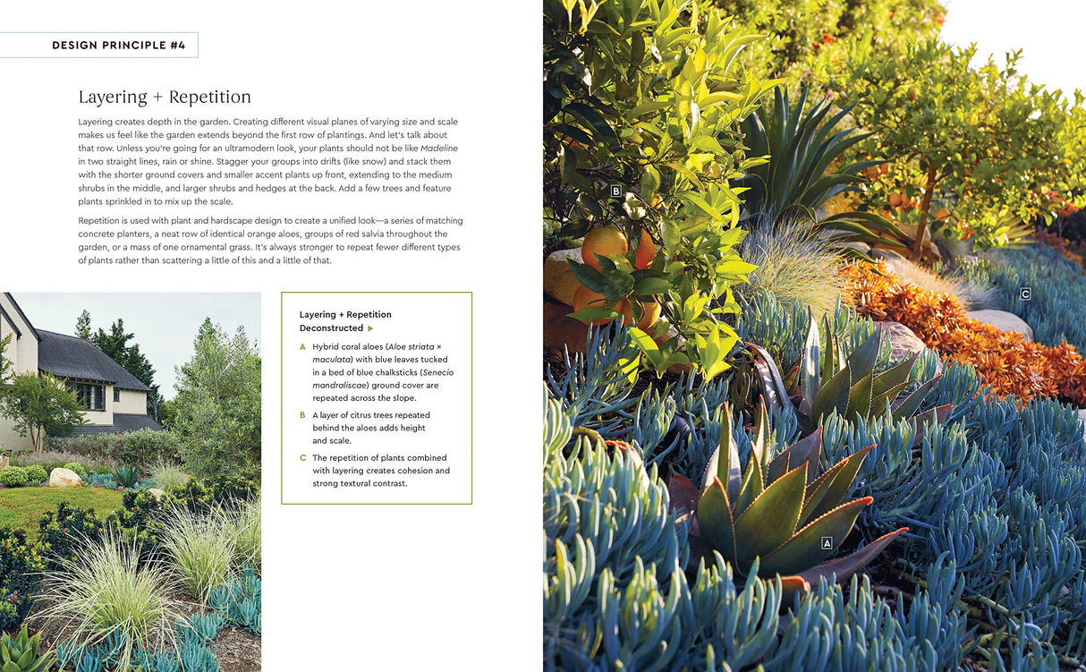 Small Garden Style: A Design Guide for Outdoor Rooms and Containers - Retail Maharaj