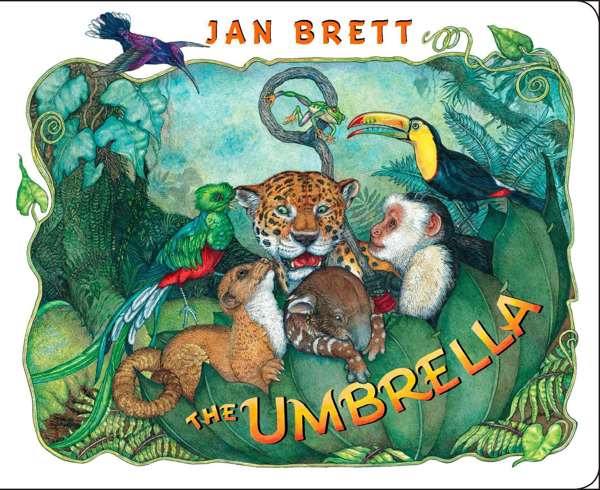 The Umbrella: board book - Retail Maharaj