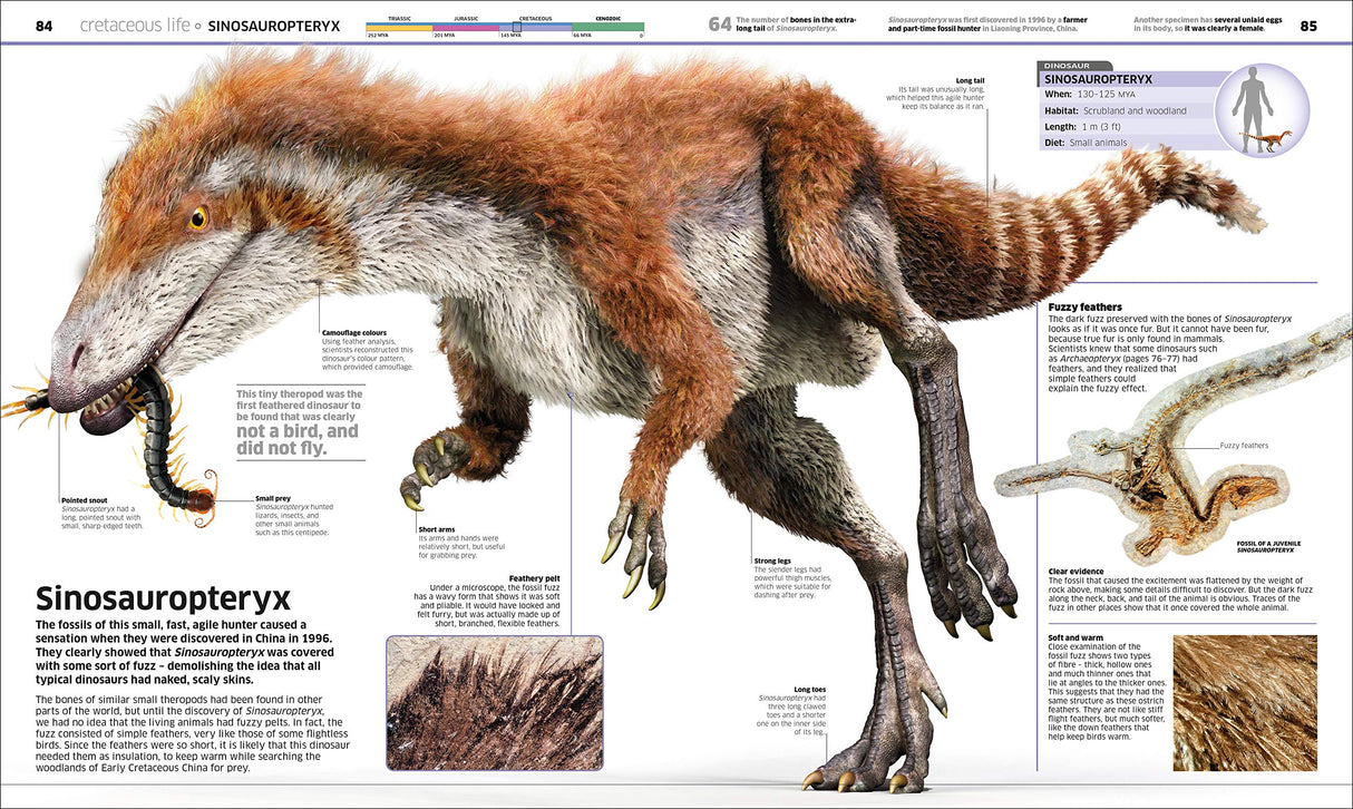 Knowledge Encyclopedia Dinosaur! Our Prehistoric World As You've Never Seen Before - Retail Maharaj