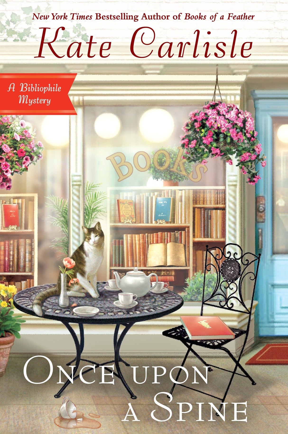 Once Upon A Spine: 11 (Bibliophile Mystery) - Retail Maharaj