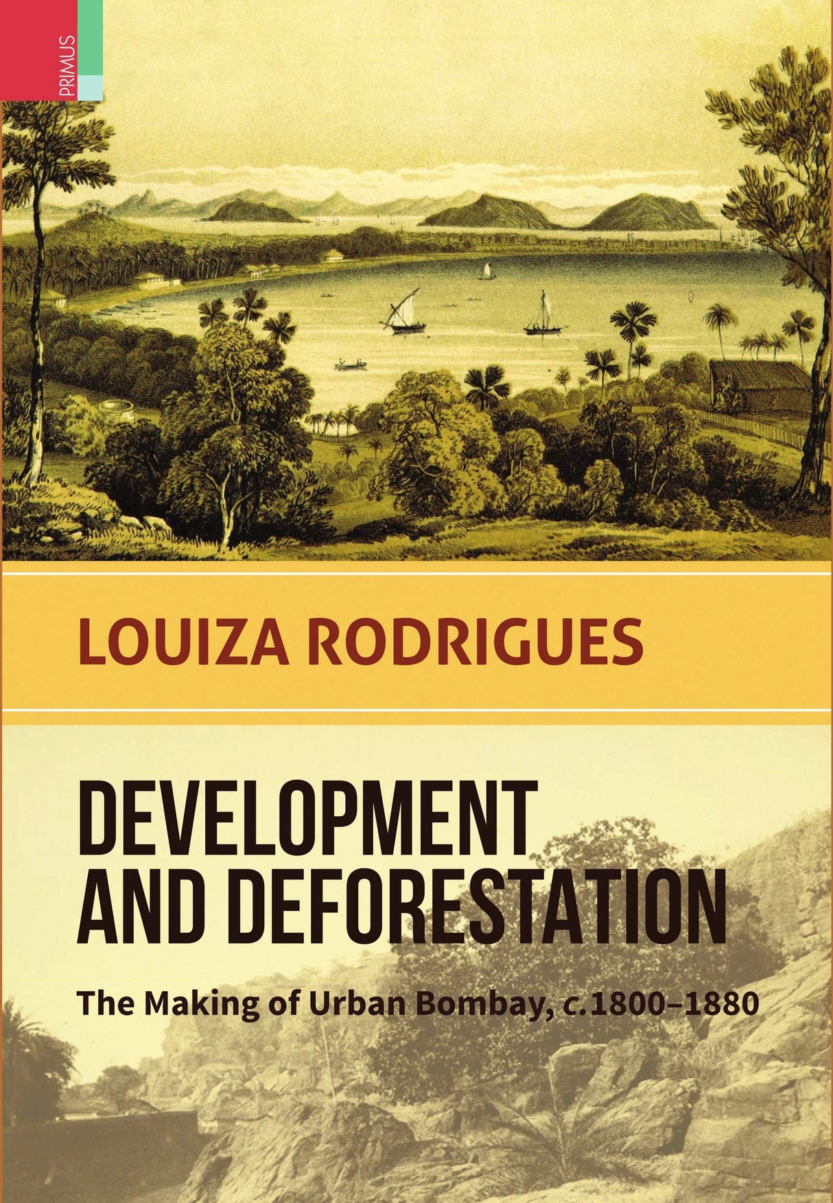 DEVELOPMENT AND DEFORESTATION - Retail Maharaj