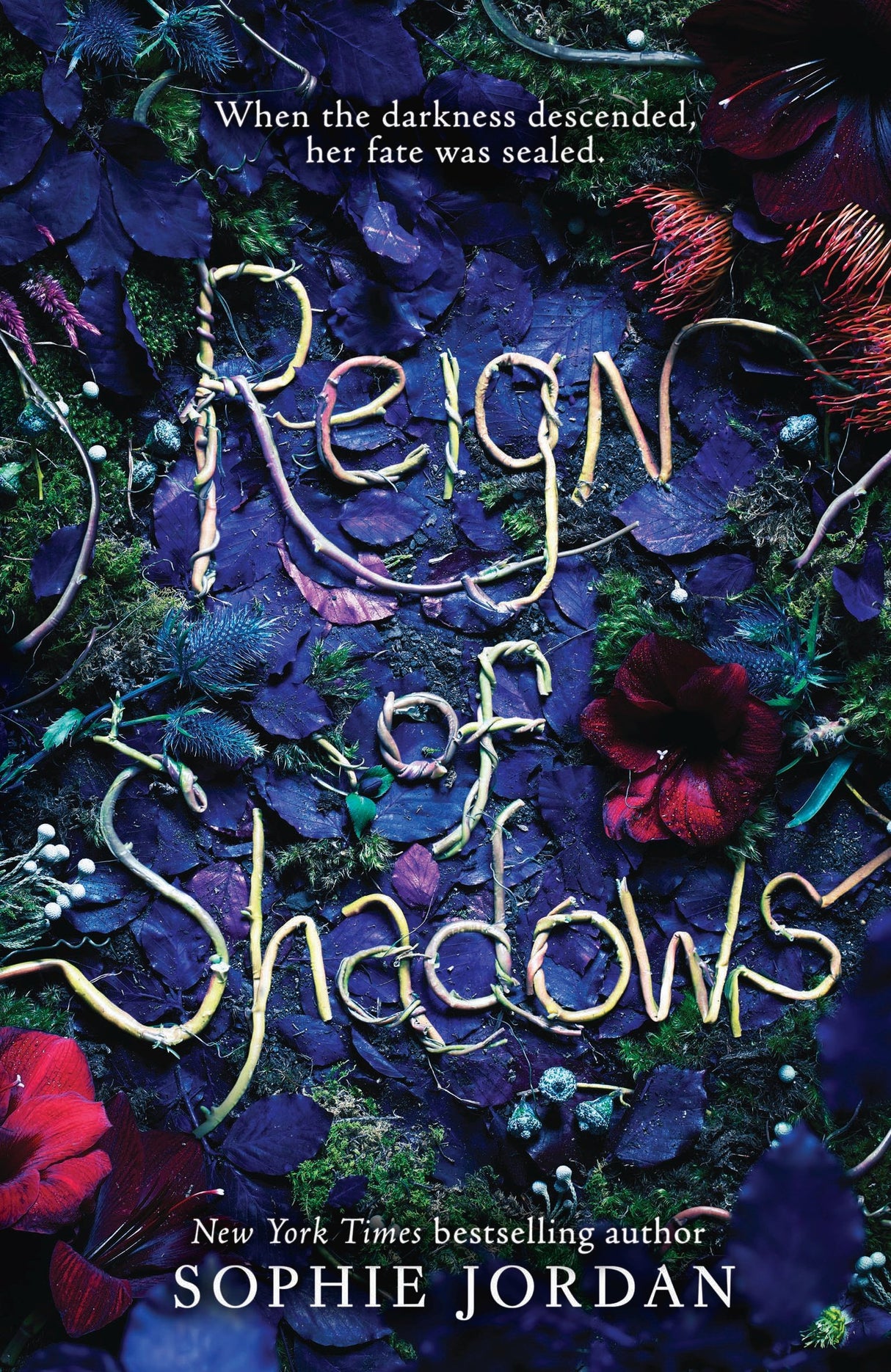 Reign of Shadows - Retail Maharaj