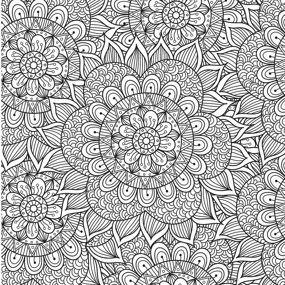 Colouring Book for Adults - Ornamental Mandala - Retail Maharaj