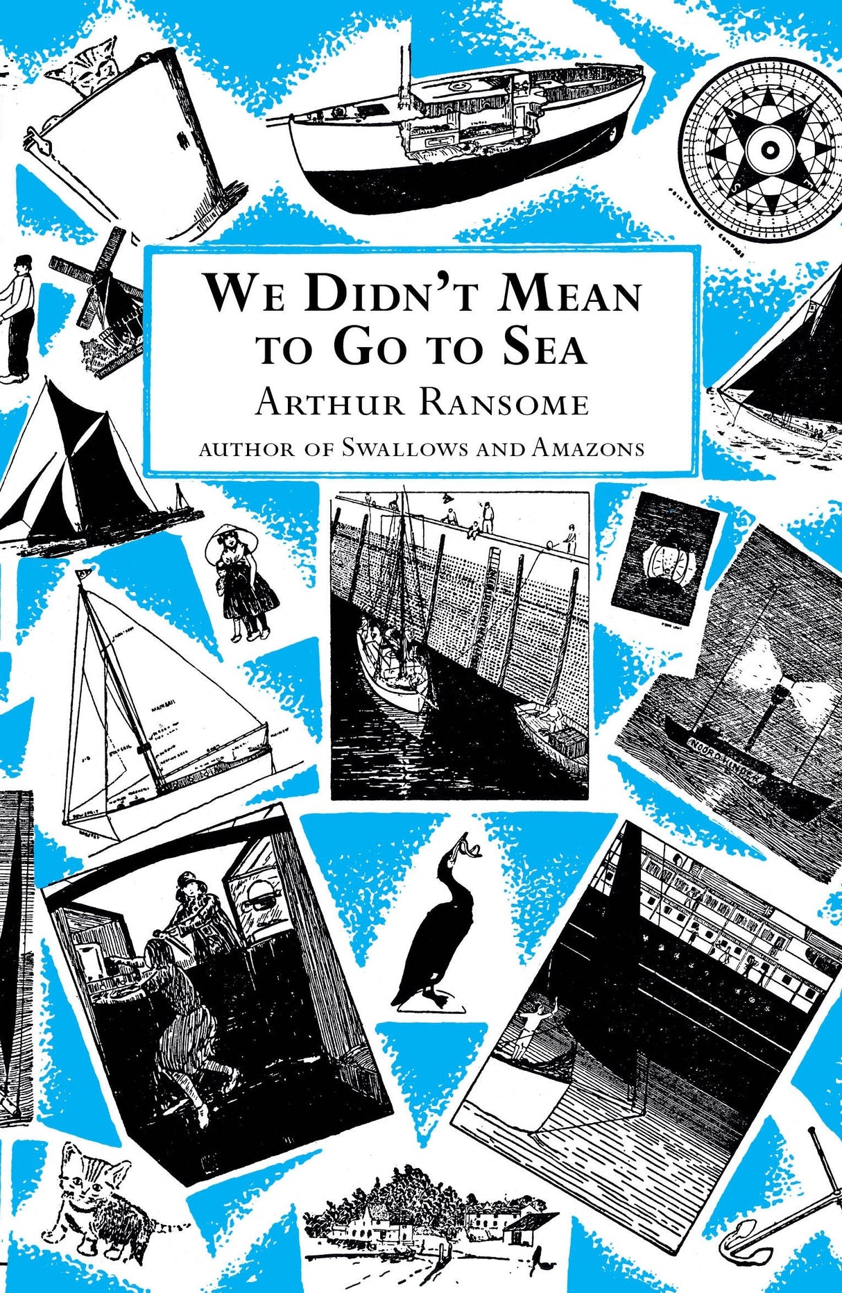 We Didn't Mean to Go to Sea (Swallows And Amazons) - Retail Maharaj