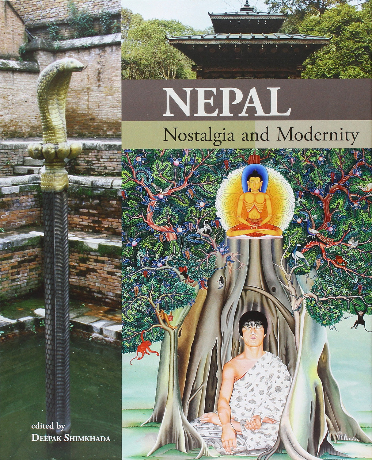 Nepal: Nostalgia and Modernity - Retail Maharaj