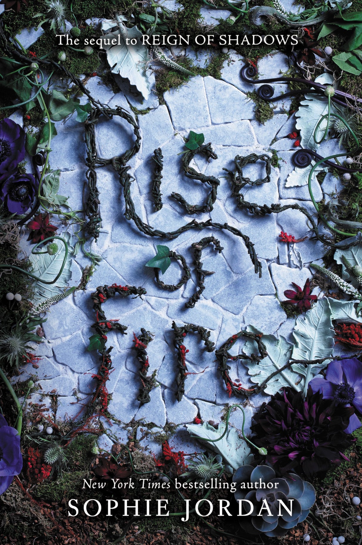 Rise of Fire - Retail Maharaj