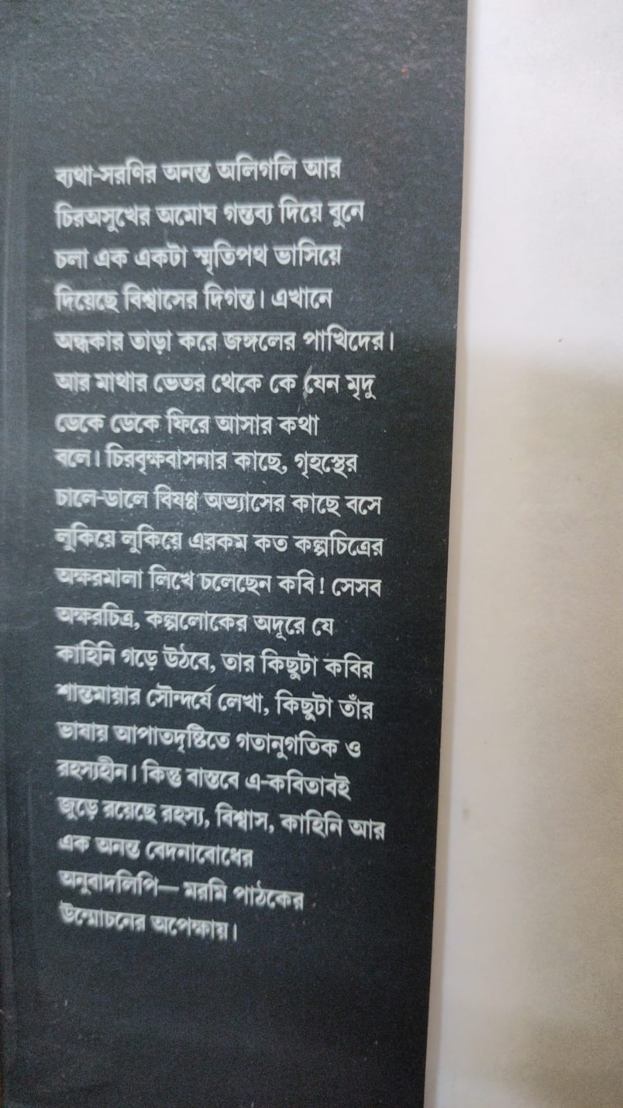Je Oshuk Kahinipronito (Bengali Version) - Retail Maharaj