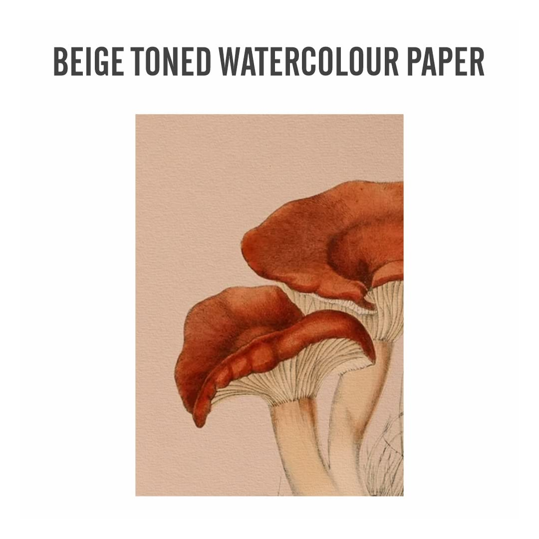 Anupam Heap Natural Toned Watercolour Paper A4 Multi Colour Pack - Retail Maharaj