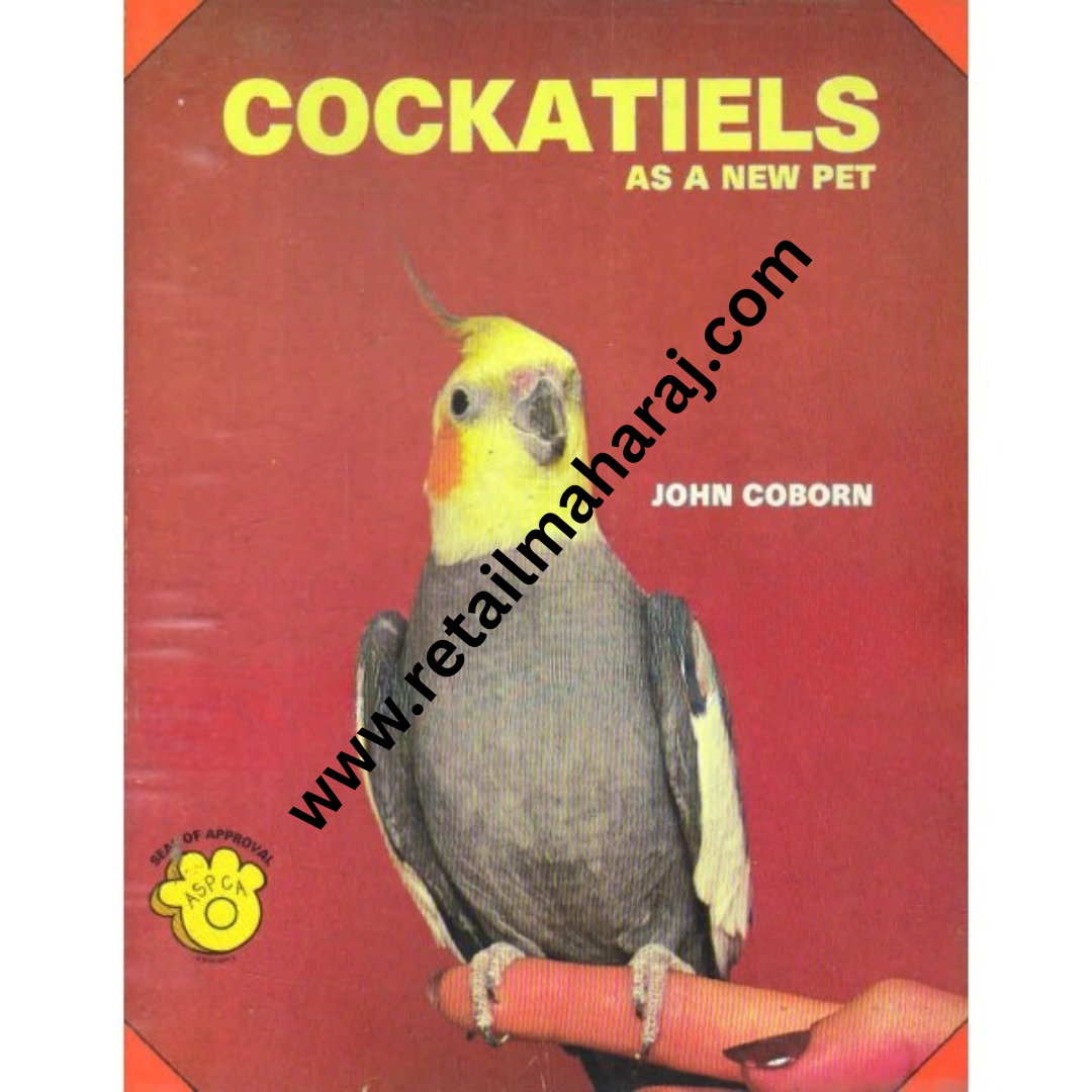 cockatiels as a new pet - Retail Maharaj