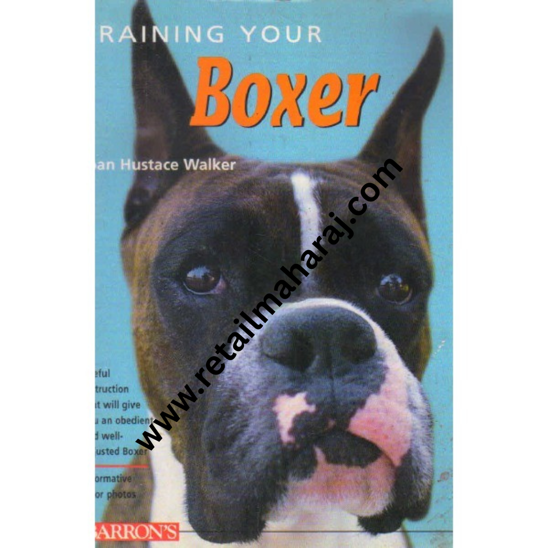 Training your Boxer - Retail Maharaj