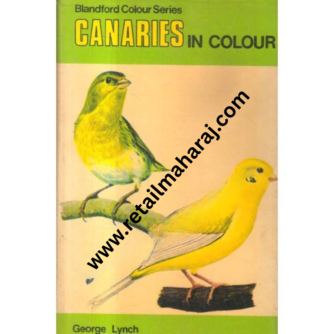 canaries in colour - Retail Maharaj