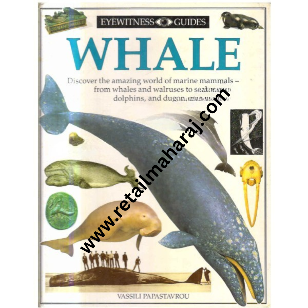Eyewitness Guide Whale - Retail Maharaj