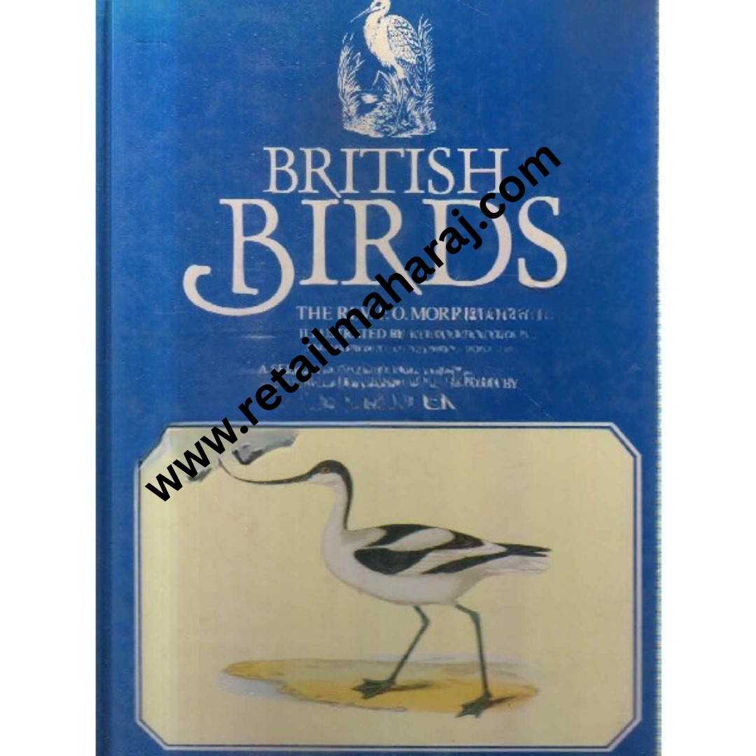 british birds - Retail Maharaj