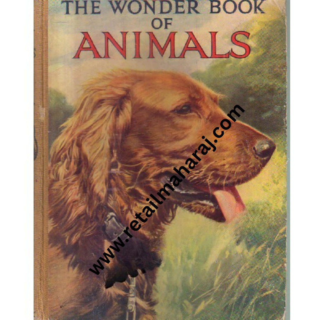 The Wonder Book of Animals - Retail Maharaj