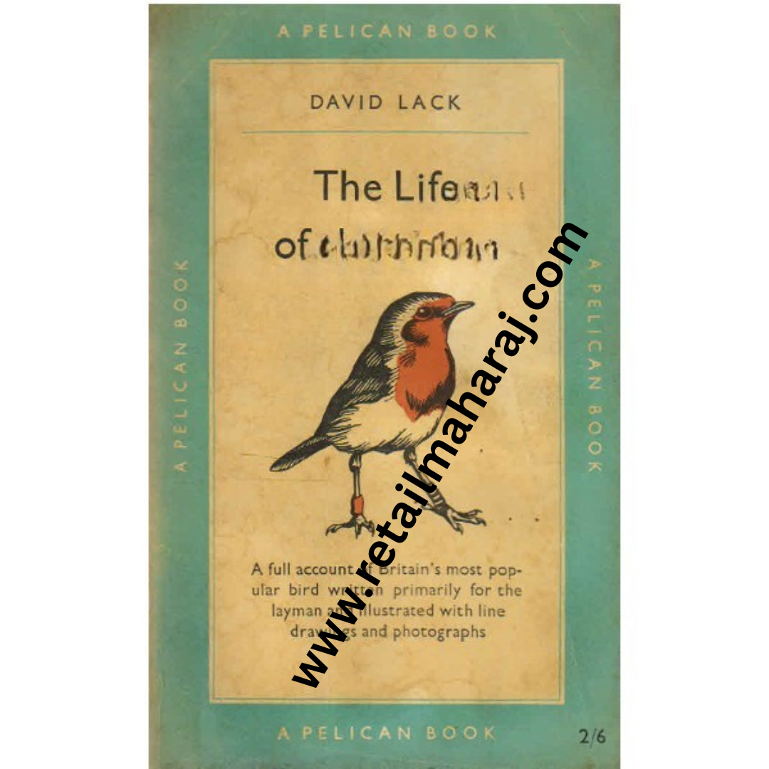 The Life of the Robin - Retail Maharaj