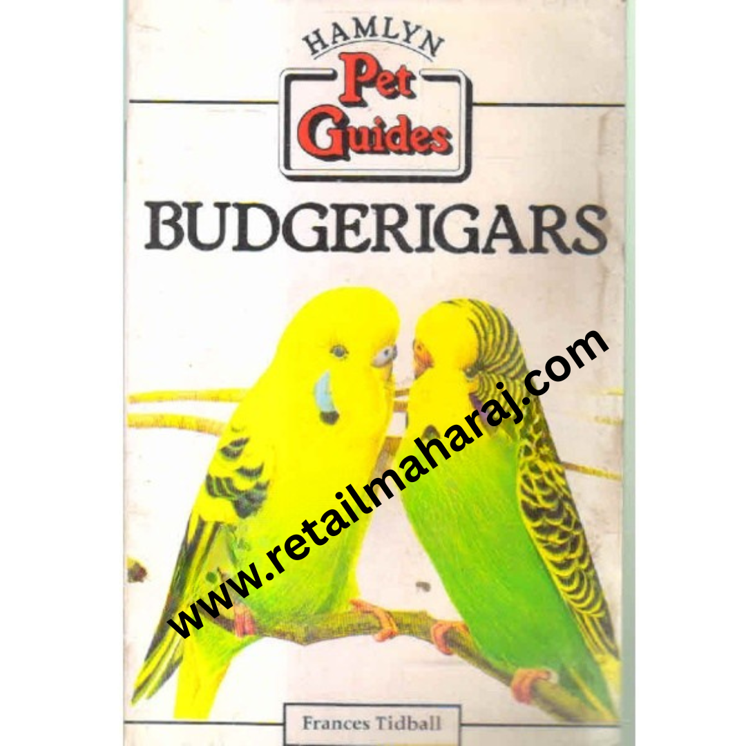 budgerigars - Retail Maharaj
