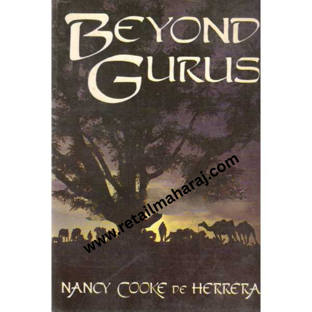 beyond gurus 1st edition