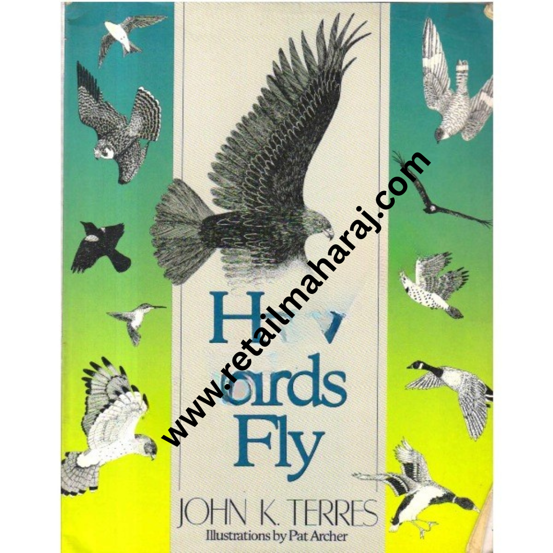 How Birds Fly - Retail Maharaj