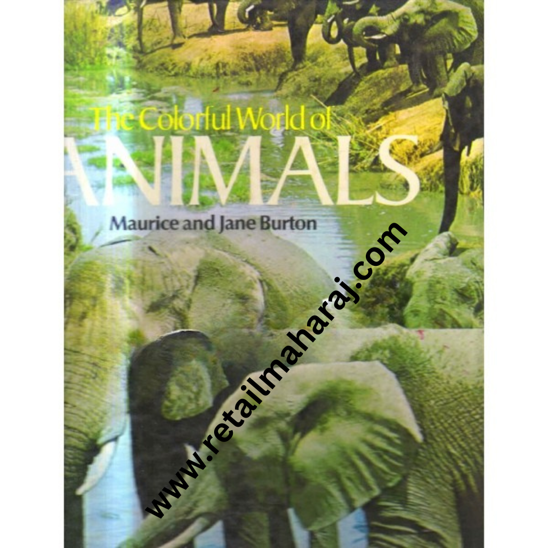 the colorful world of animals - Retail Maharaj