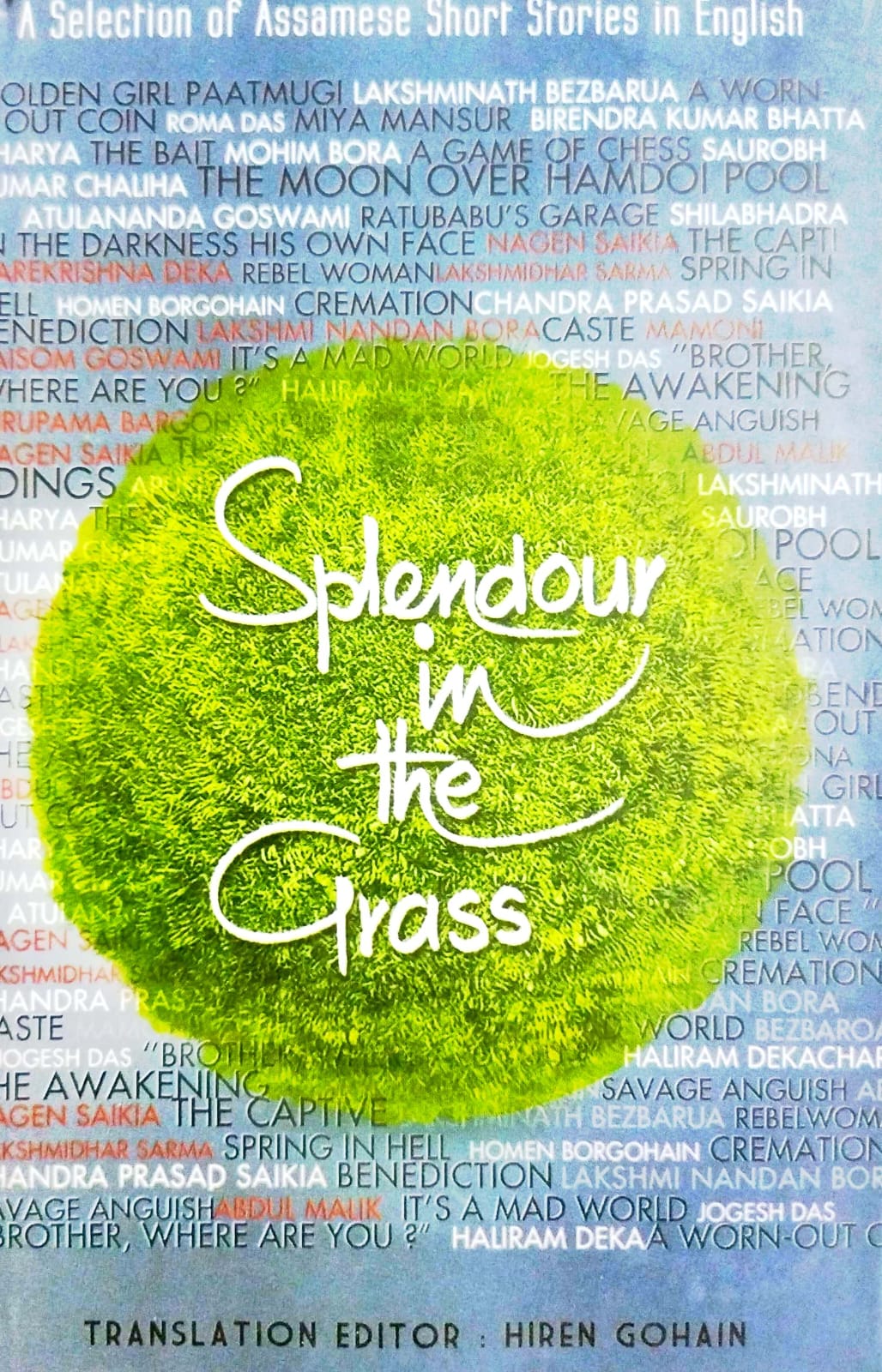 Splendour in the Grass (English Version)