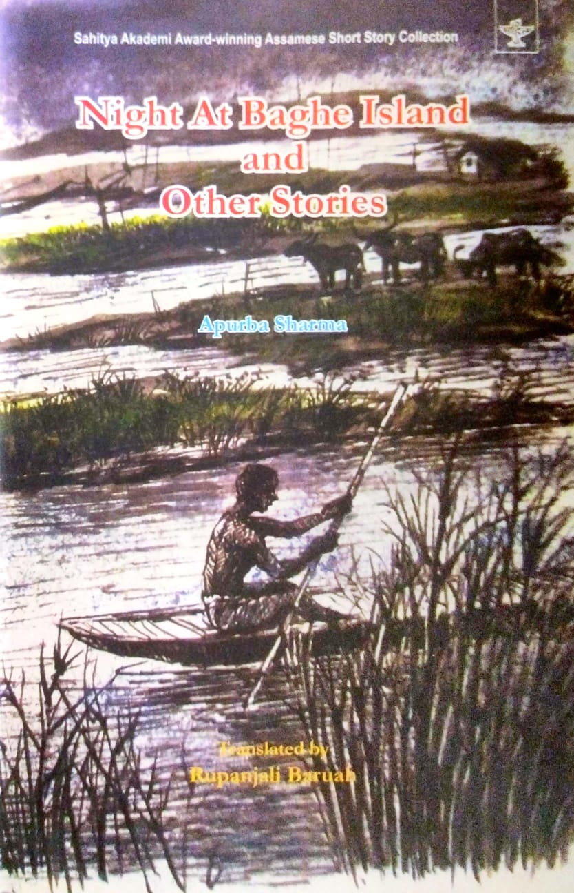Night at Baghe Island and Other Stories (English Version)