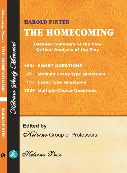 Harold Pinter The Homecoming (Questions and Answers) (English Version) - Retail Maharaj