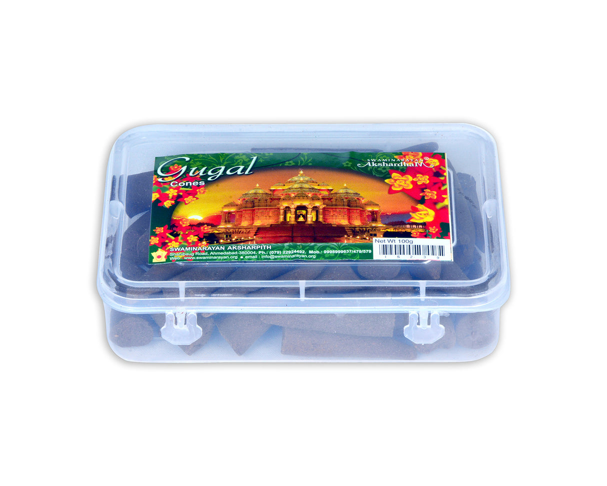Gugal Cones 2" Cone | Plastic Container - Retail Maharaj